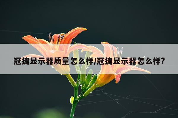 冠捷显示器质量怎么样/冠捷显示器怎么样?
