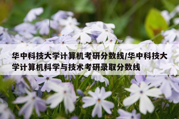 华中科技大学计算机考研分数线/华中科技大学计算机科学与技术考研录取分数线