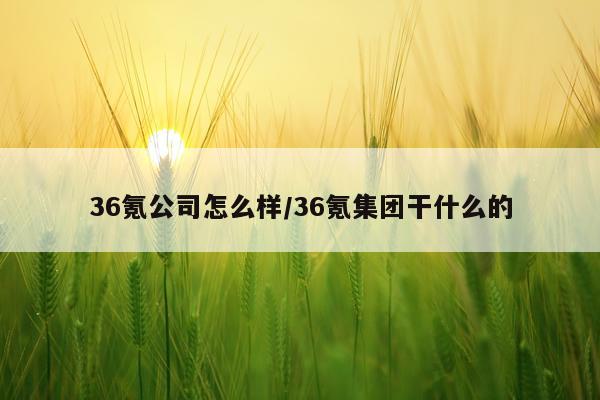 36氪公司怎么样/36氪集团干什么的
