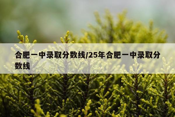 合肥一中录取分数线/25年合肥一中录取分数线