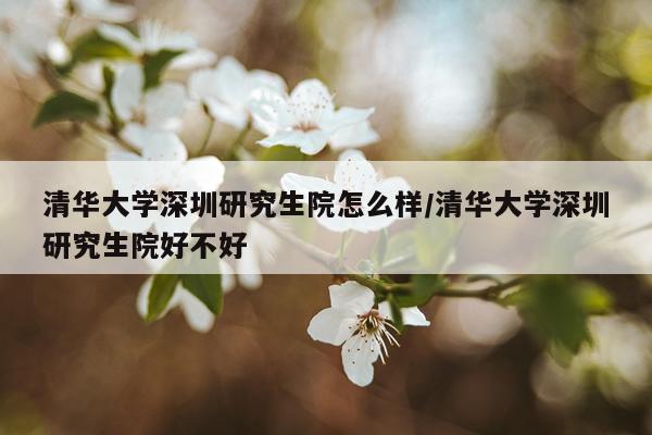 清华大学深圳研究生院怎么样/清华大学深圳研究生院好不好