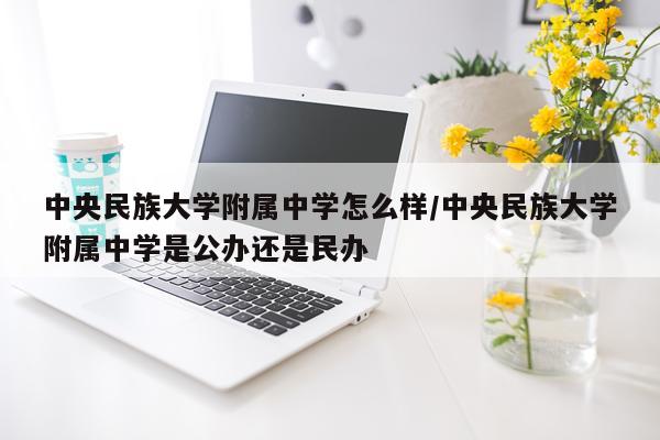中央民族大学附属中学怎么样/中央民族大学附属中学是公办还是民办
