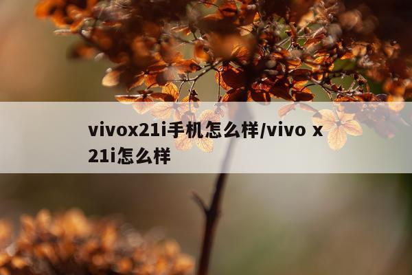 vivox21i手机怎么样/vivo x21i怎么样