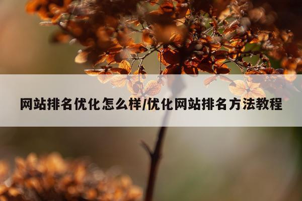 网站排名优化怎么样/优化网站排名方法教程