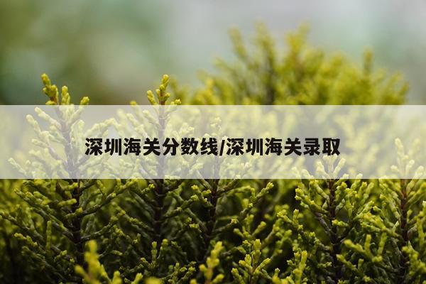 深圳海关分数线/深圳海关录取