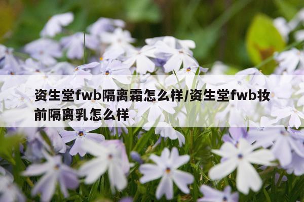 资生堂fwb隔离霜怎么样/资生堂fwb妆前隔离乳怎么样