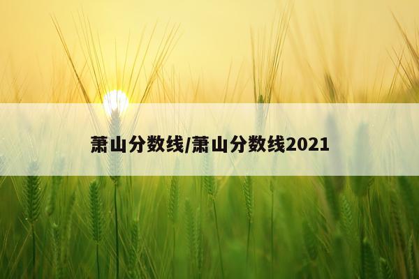 萧山分数线/萧山分数线2021