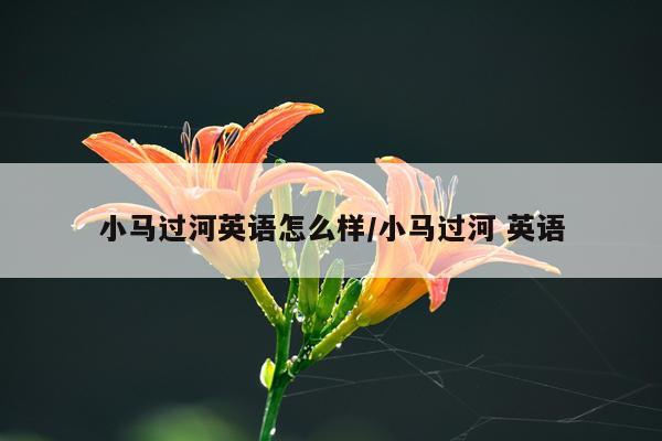 小马过河英语怎么样/小马过河 英语