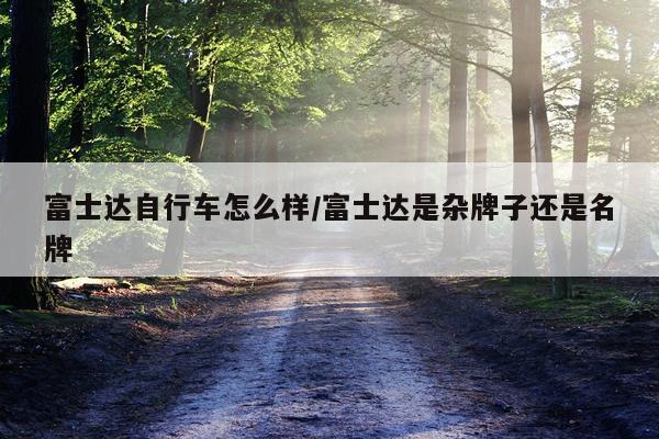 富士达自行车怎么样/富士达是杂牌子还是名牌