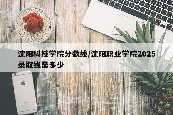 沈阳科技学院分数线/沈阳职业学院2025录取线是多少