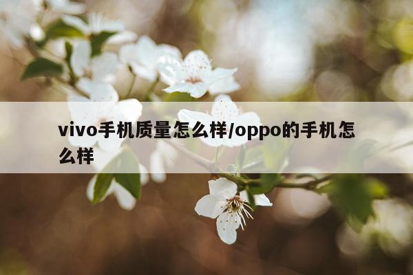 vivo手机质量怎么样/oppo的手机怎么样