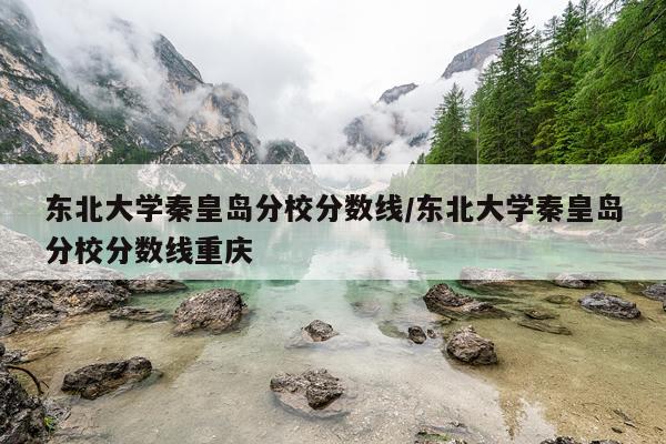 东北大学秦皇岛分校分数线/东北大学秦皇岛分校分数线重庆