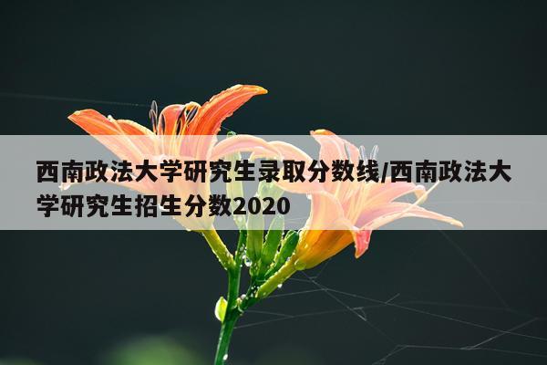 西南政法大学研究生录取分数线/西南政法大学研究生招生分数2020