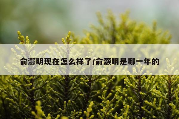 俞灏明现在怎么样了/俞灏明是哪一年的