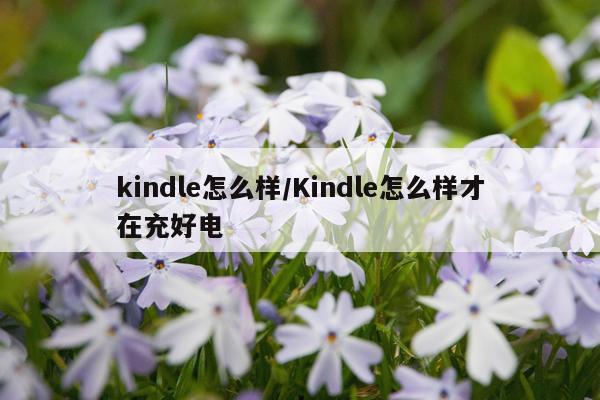 kindle怎么样/Kindle怎么样才在充好电
