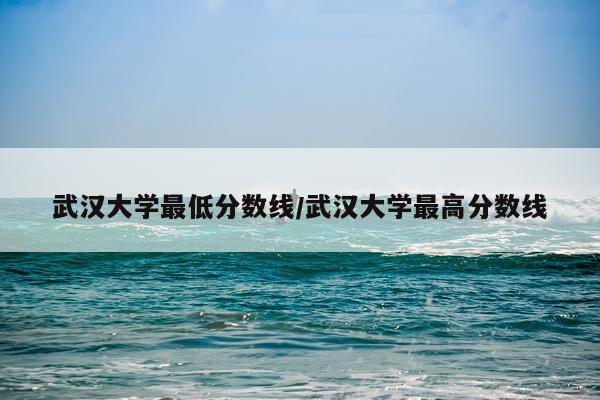 武汉大学最低分数线/武汉大学最高分数线