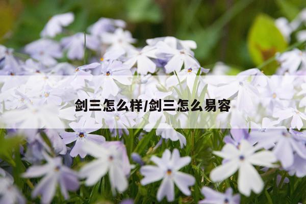 剑三怎么样/剑三怎么易容